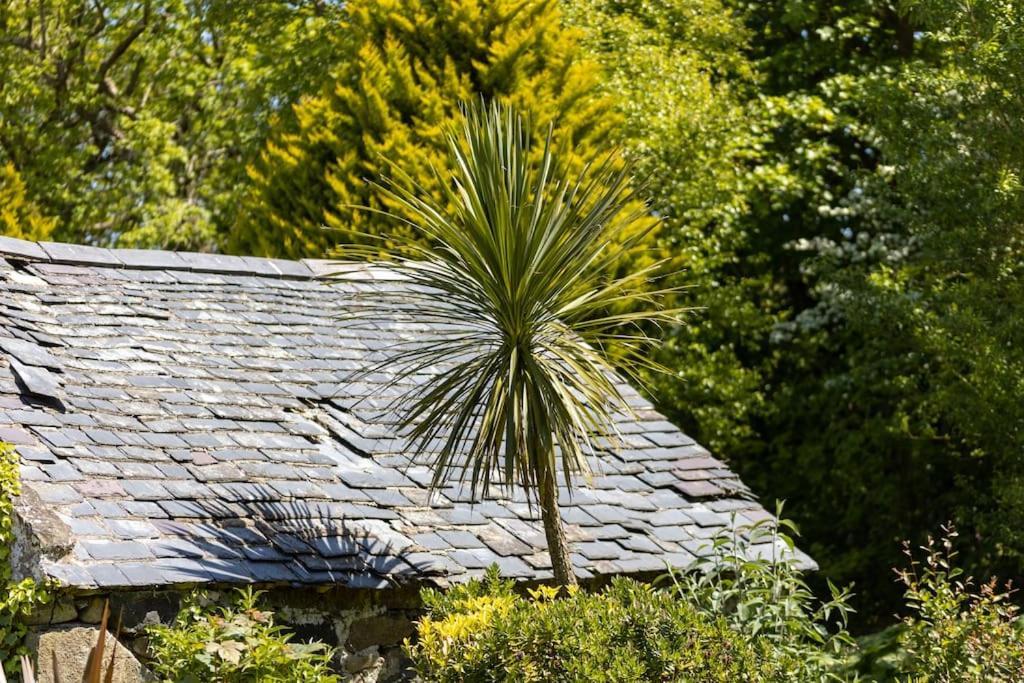 Plas Newydd With Swimming Pool, Fire Pit, And Log Fires Villa Rhiw Dış mekan fotoğraf